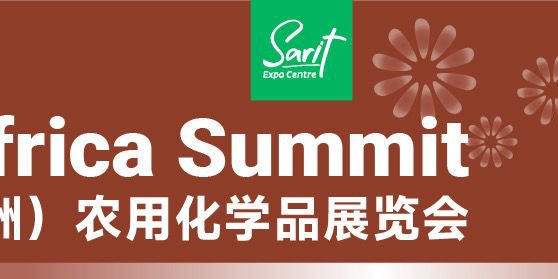 CKACE - Website Banner.jpeg